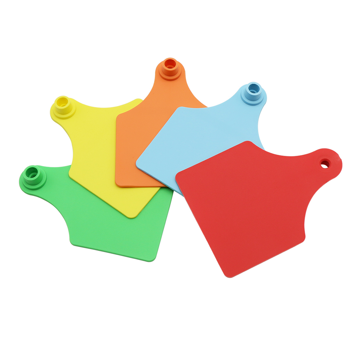 Livestock Ear Tag - 가축 TPU 소재 단어 없는 소