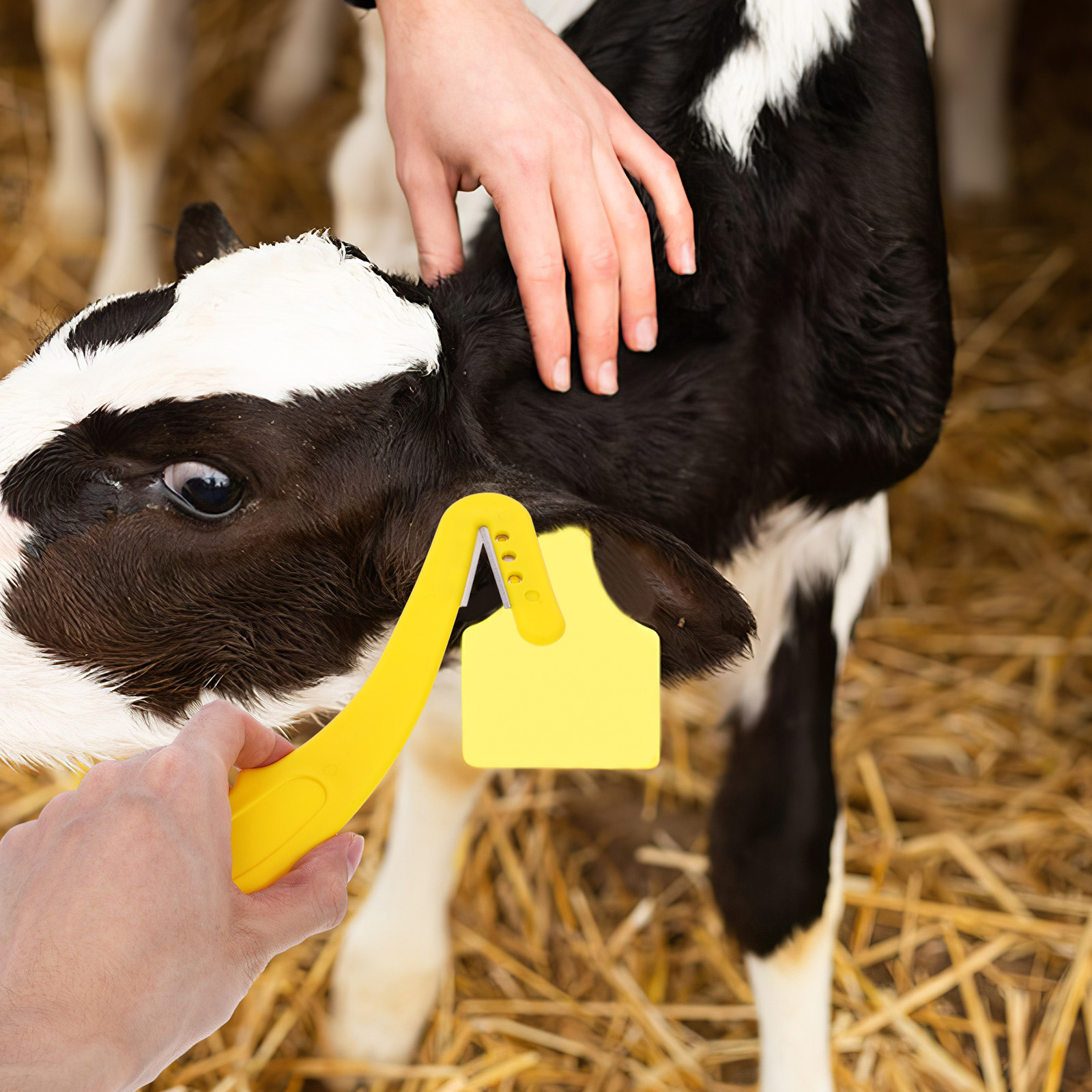 Livestock Ear Tag - 2개입 귀표 제거 도구 인체공학적 가축