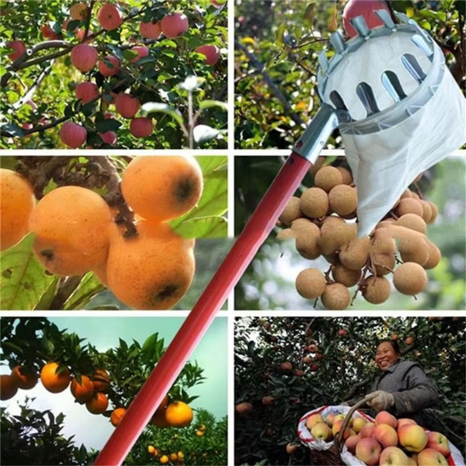 정원 따기 고도 과일 피커 농업 도구 농장 도구에 대한 - Farming Agriculture Tools 리뷰 및 가격