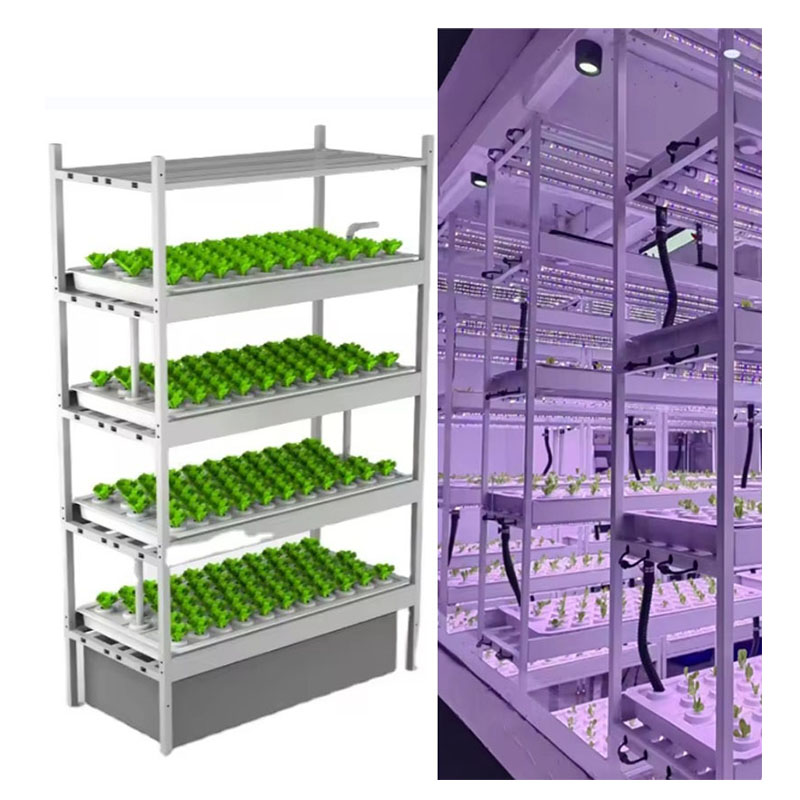 온실 농업 장비 버섯 채소 과일 재배 수직 농장 수경  - Agriculture Farming Equipments 리뷰 및 가격