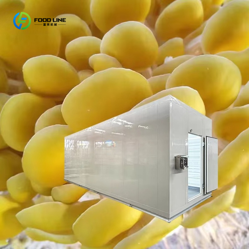 스마트 버섯 재배 캡슐 기술 기반 농업 식용 버섯 재배 - Smart Farming Technology In Agriculture 리뷰 및 가격
