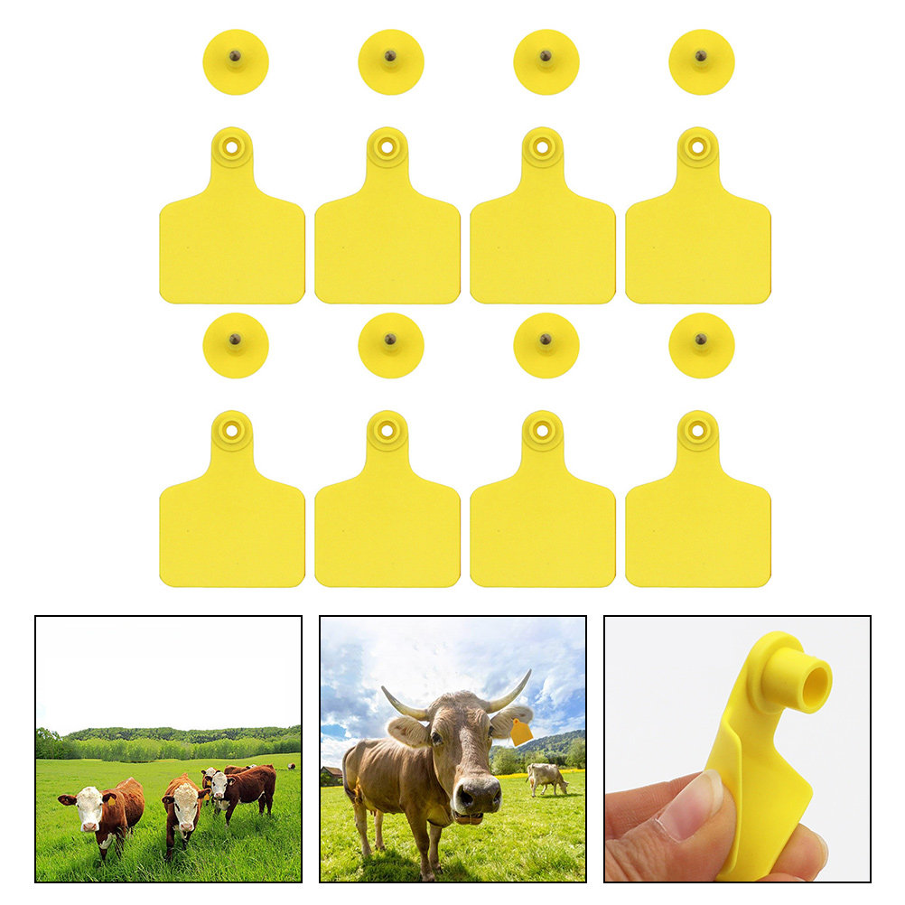 100개 소 귀표지, 플라스틱 소 귀표지, 가축 식별용 - Livestock Ear Tag 리뷰 및 가격
