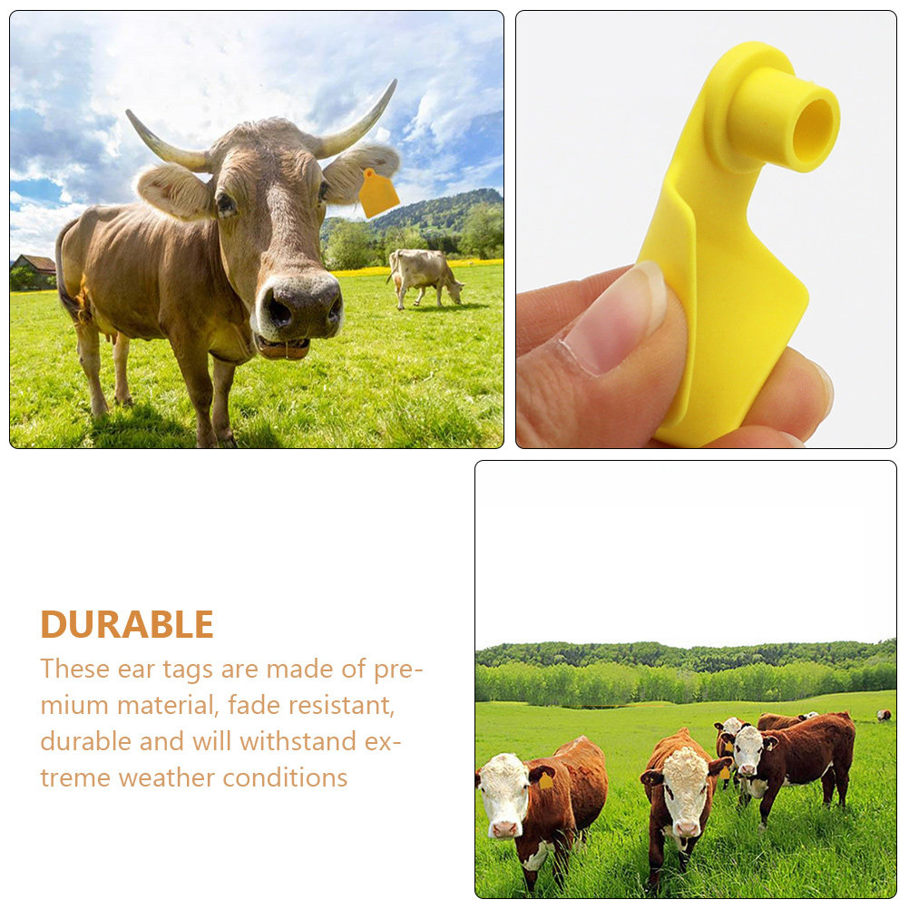 100개 소 귀표지, 플라스틱 소 귀표지, 가축 식별용 - Livestock Ear Tag 리뷰 및 가격