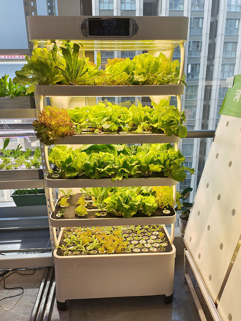 농업 기계로 채소, 상추 및 딸기 재배 수직 시스템 수 - Agriculture Farming Equipments 리뷰 및 가격