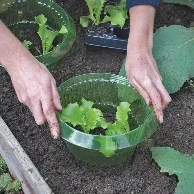 식물 달팽이 보호 링 야채 커버 식물 달팽이 칼라 가드 - Vegetable Transplanter 리뷰 및 가격